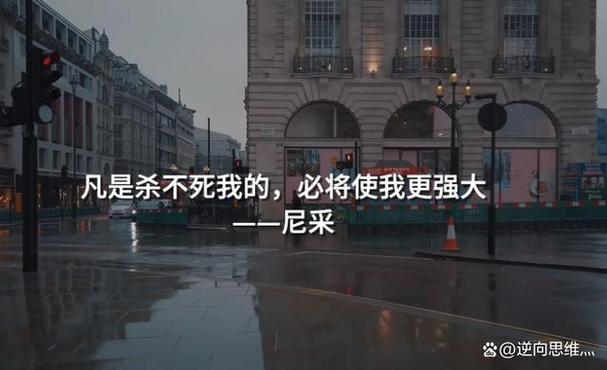 杀不死评价
