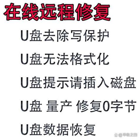 u盘变成磁盘驱动器无法读取