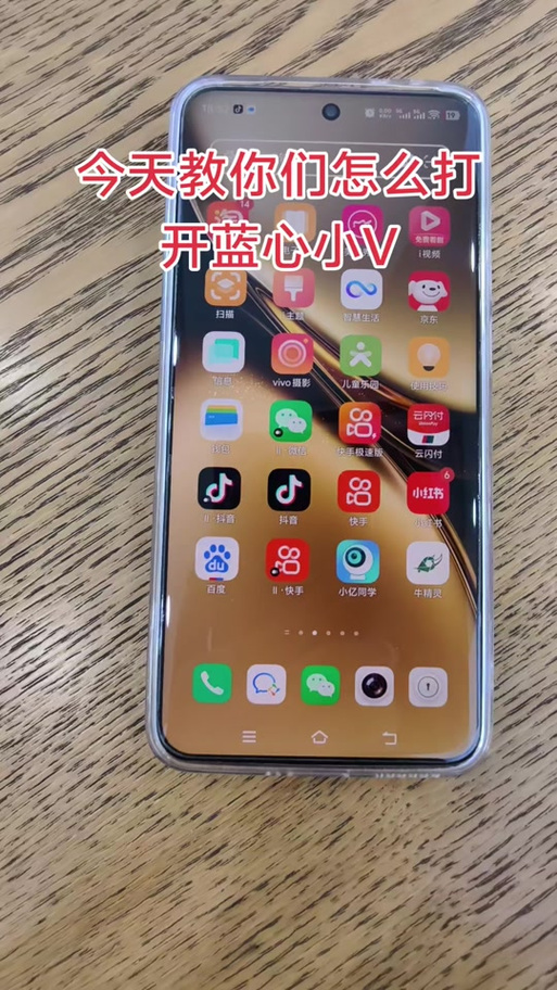 蓝心小v5.1.22