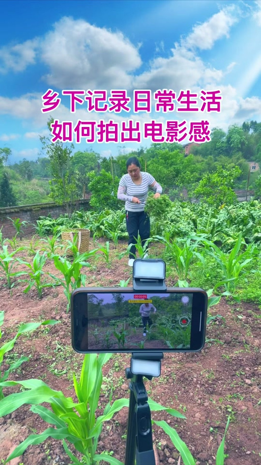 我的乡村生活冷狐版攻略
