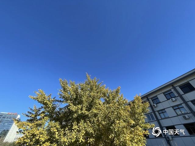 手机天气无广告纯净版