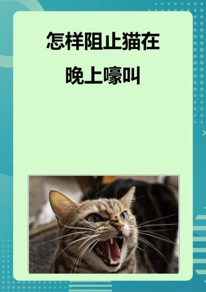 怎样阻止母猫夜里叫