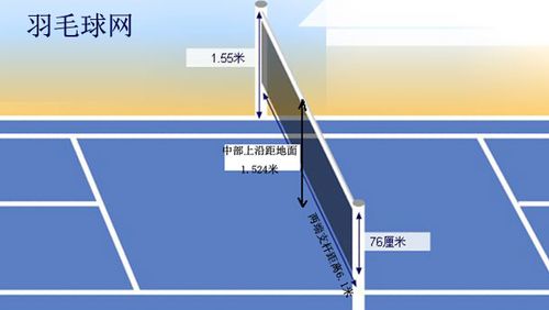 羽毛球网的高度