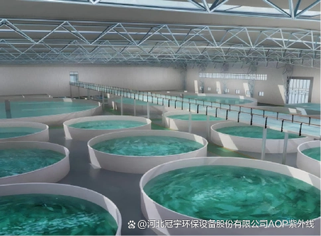 海水有什么作用和功效