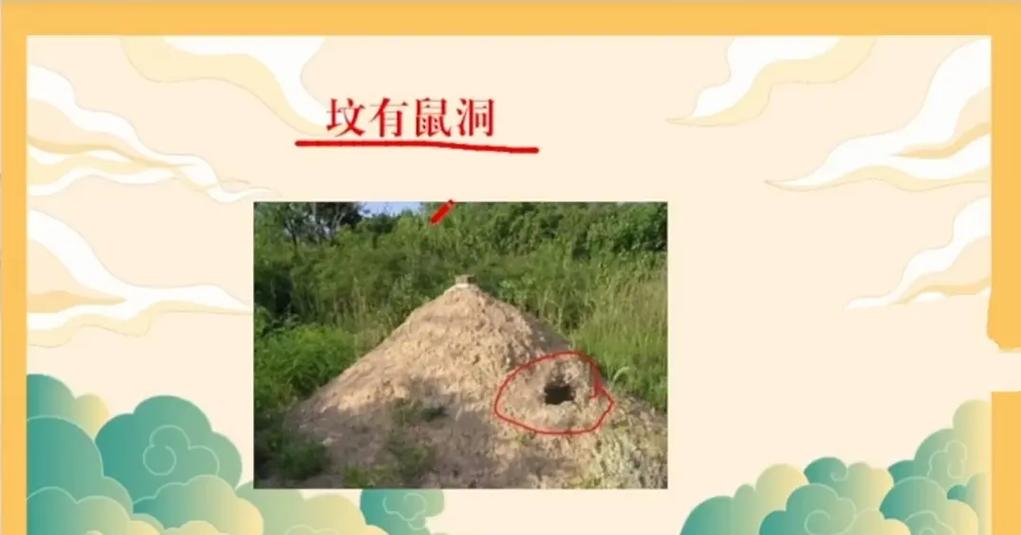 父母坟上有洞好不好