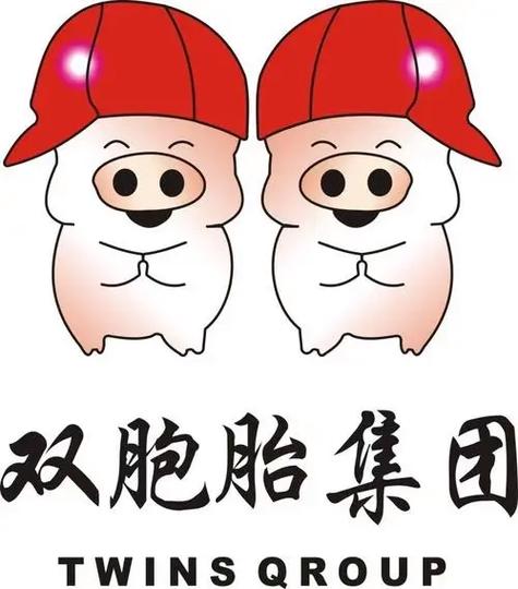 双胞胎集团等级一览表