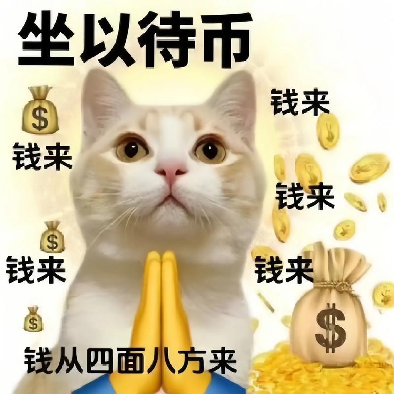 趣来钱平台