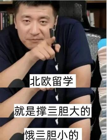 张雪峰谈芬兰留学