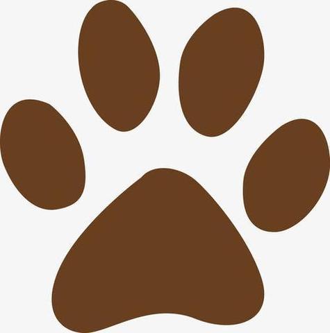 猫爪子符号怎么打出来