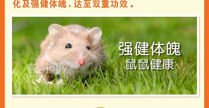养仓鼠一天喂几遍粮食