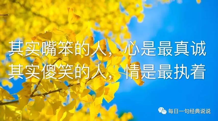 微信美文精选