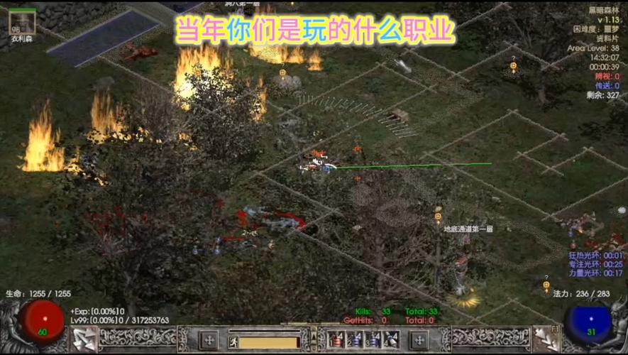 暗黑2(单机版)无需网络下载