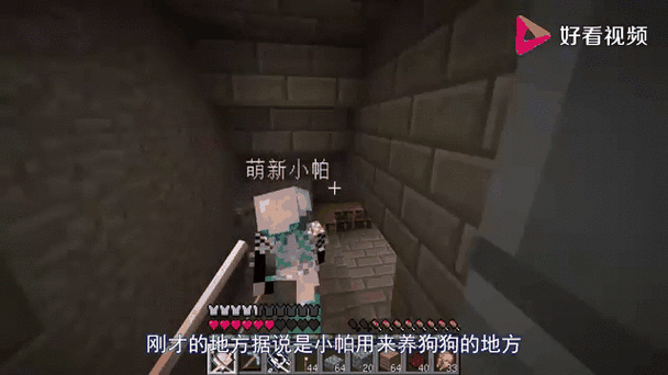 呆萌小帕多少岁了