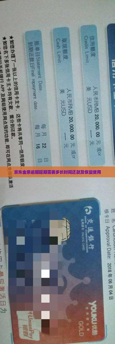京东金条可以申请延期还款吗