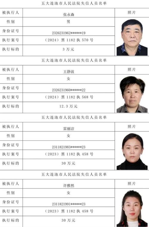 输入姓名找老赖