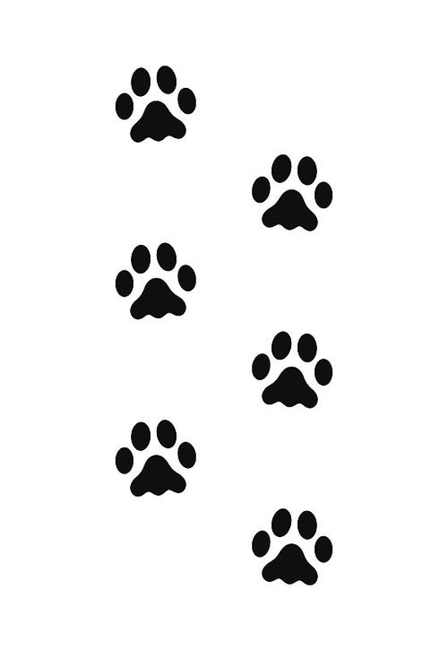 特殊的符号图案可复制猫爪