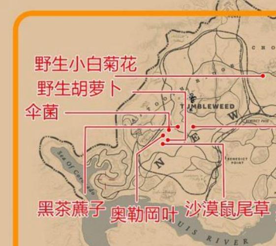 荒野大镖客2草药大师挑战二攻略