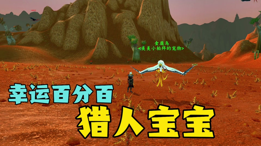 wlk猎人狼宝宝哪里抓