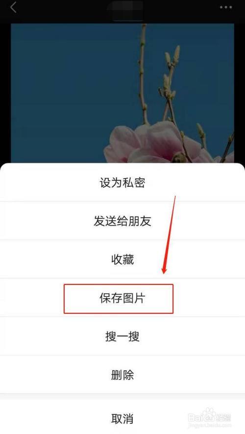 怎么保存手机