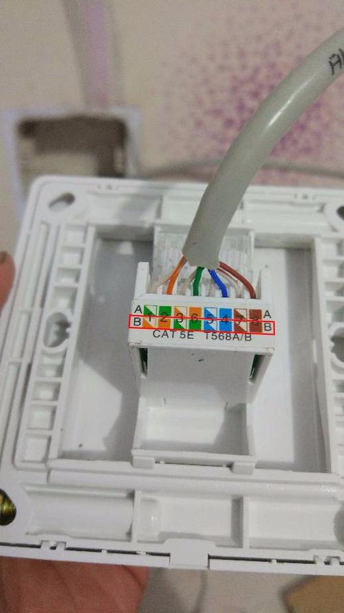 网线插座接法图