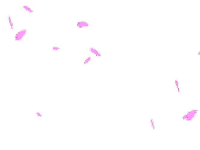 花瓣剪辑找不到转gif