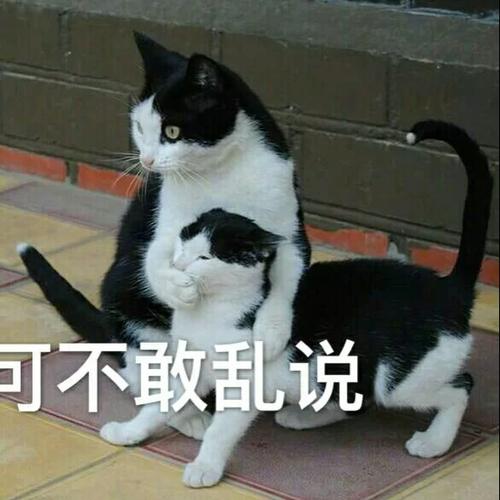 我不跟你说了吗