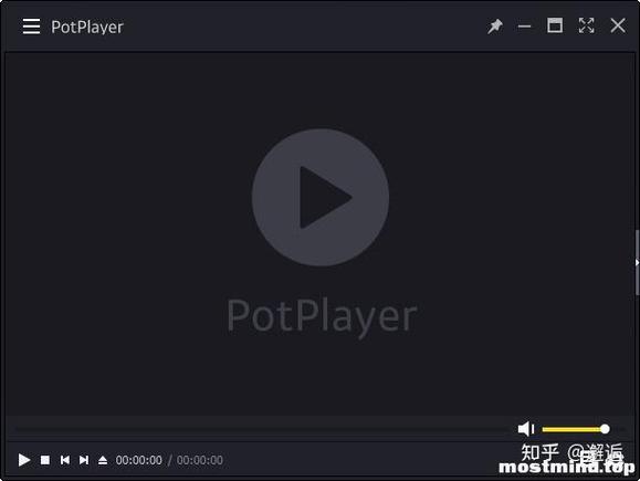 potplayer官方正版安卓下载