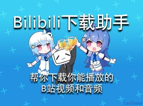 哔哩哔哩下载助手