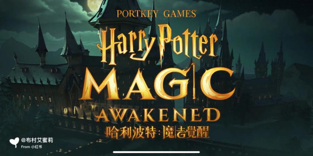哈利波特游戏下载