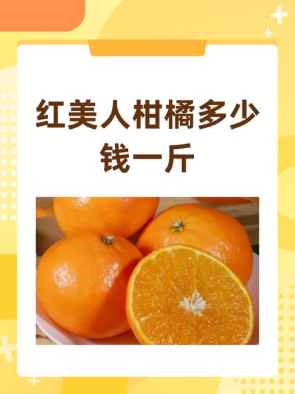 桔子批发价多少钱一斤