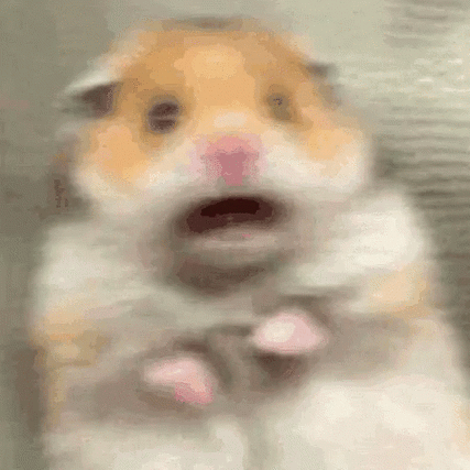 仓鼠表情包动图GiF