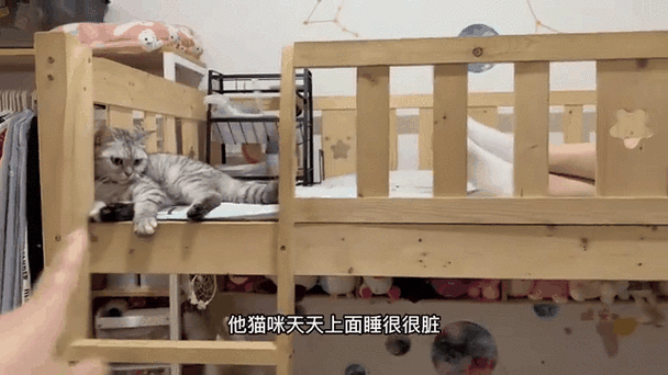 女孩子睡着了你去碰她会生气吗