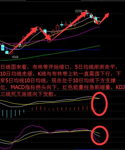 股票10日均线在哪里看