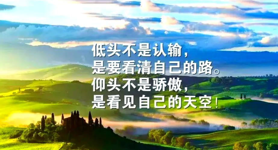 经典人生感悟