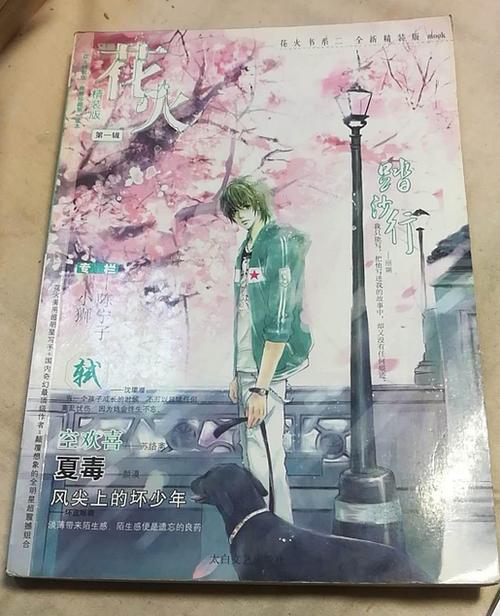 花火长篇小说