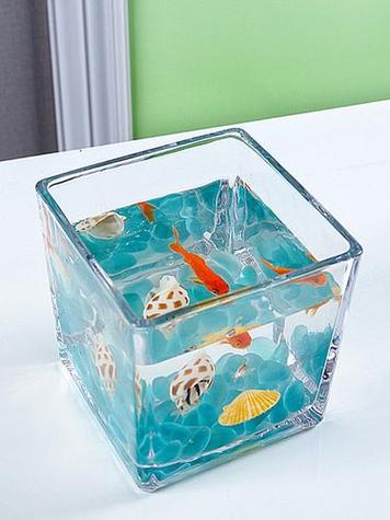 有没有一年都没换水的鱼缸
