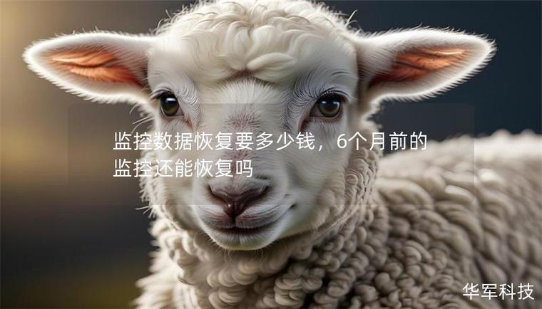 6个月前的监控还能恢复吗