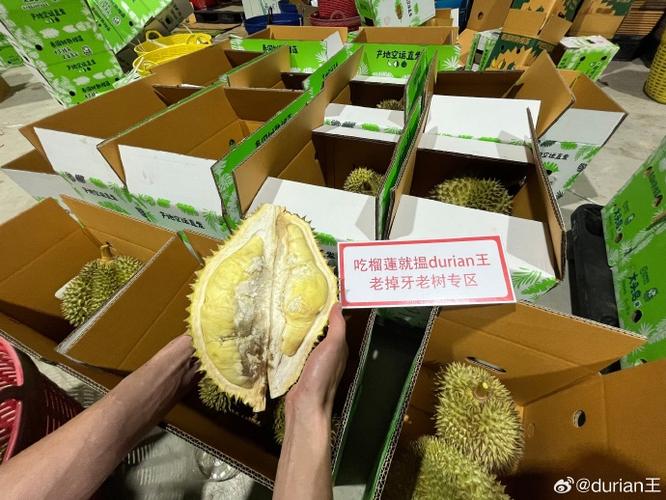 榴莲夹生可以吃吗