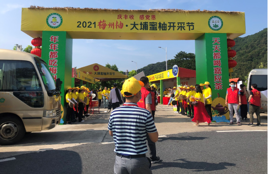 梅州大埔京东