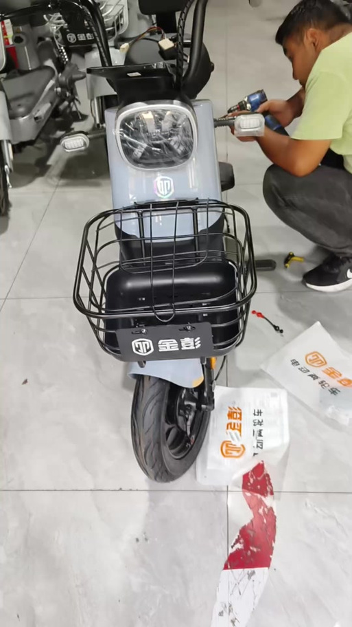二轮电动车十大品牌