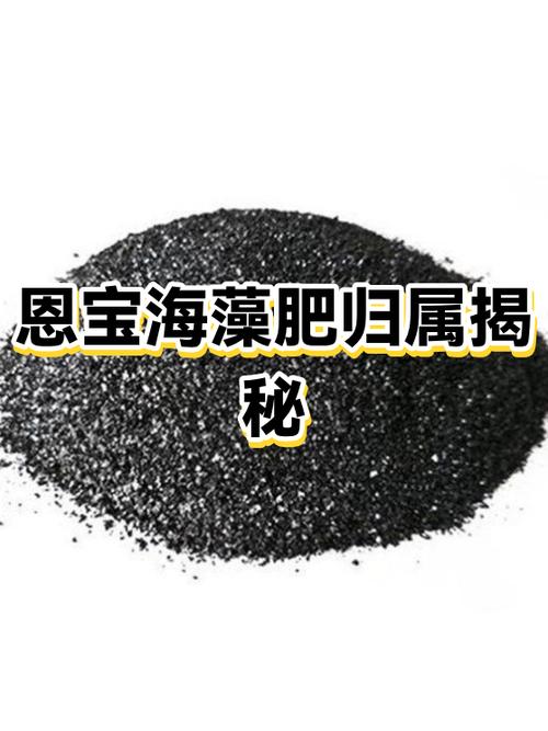 山东恩宝海藻肥怎么样