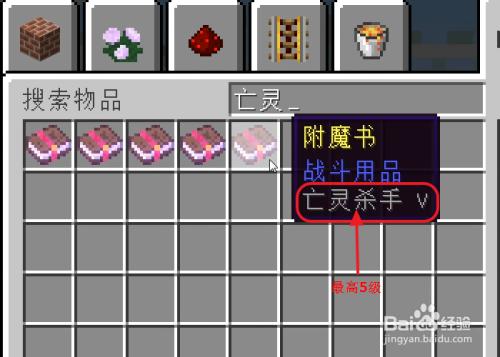 我的世界亡灵克星最高多少级