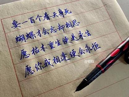 练字的优美语段100字
