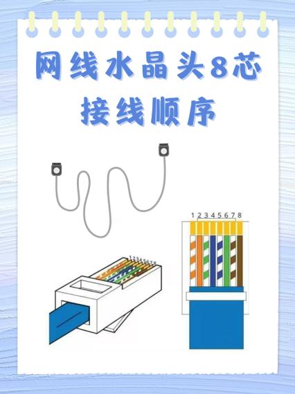 网线插座接法图解8根
