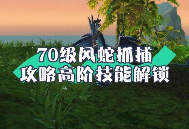 风蛇等级划分一览表