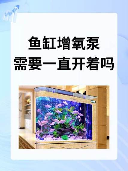鱼缸增氧泵需要一直开着吗