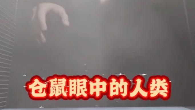 仓鼠眼中的人类