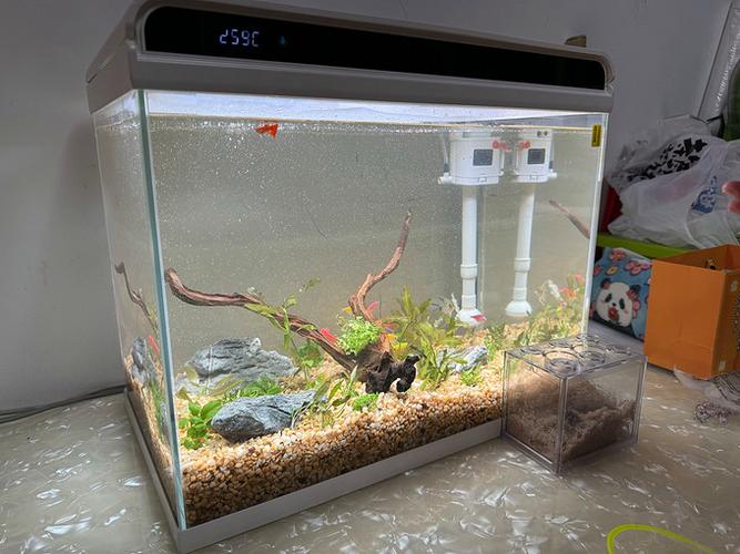 森森鱼缸设置