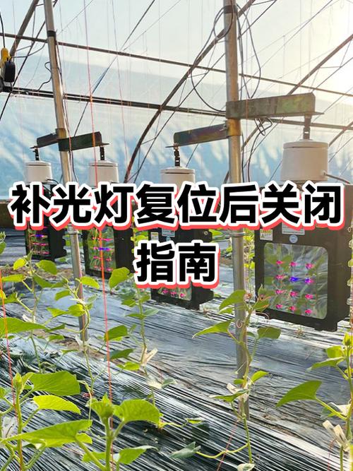 关闭自动补光的步骤