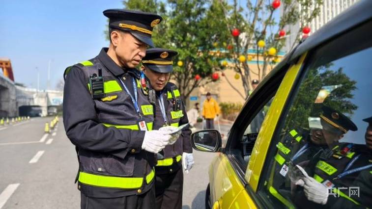 交通执法主要管什么